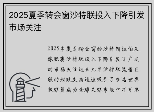 2025夏季转会窗沙特联投入下降引发市场关注 2025夏季转会窗沙特联投入下降引发市场关注
